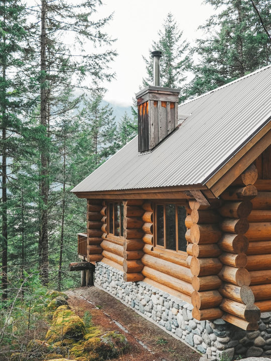 Log cabin in a forest.