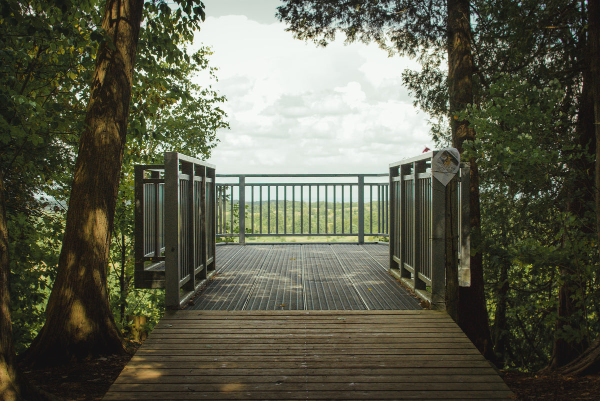 A wooden lookout platform at the end of a forest boardwalk.