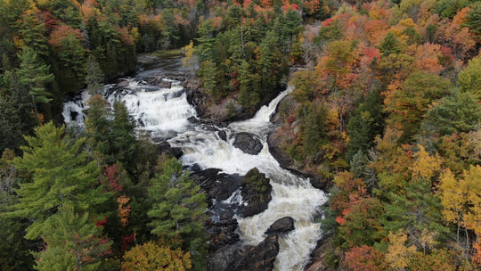 Waterfall surrounded by fall foliage.