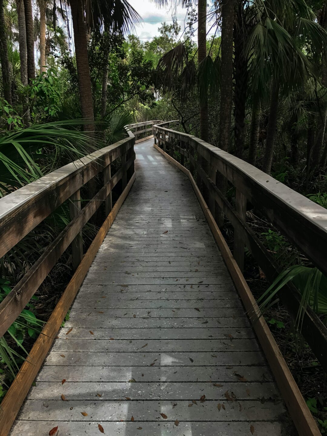 Treasure Coast Explorer