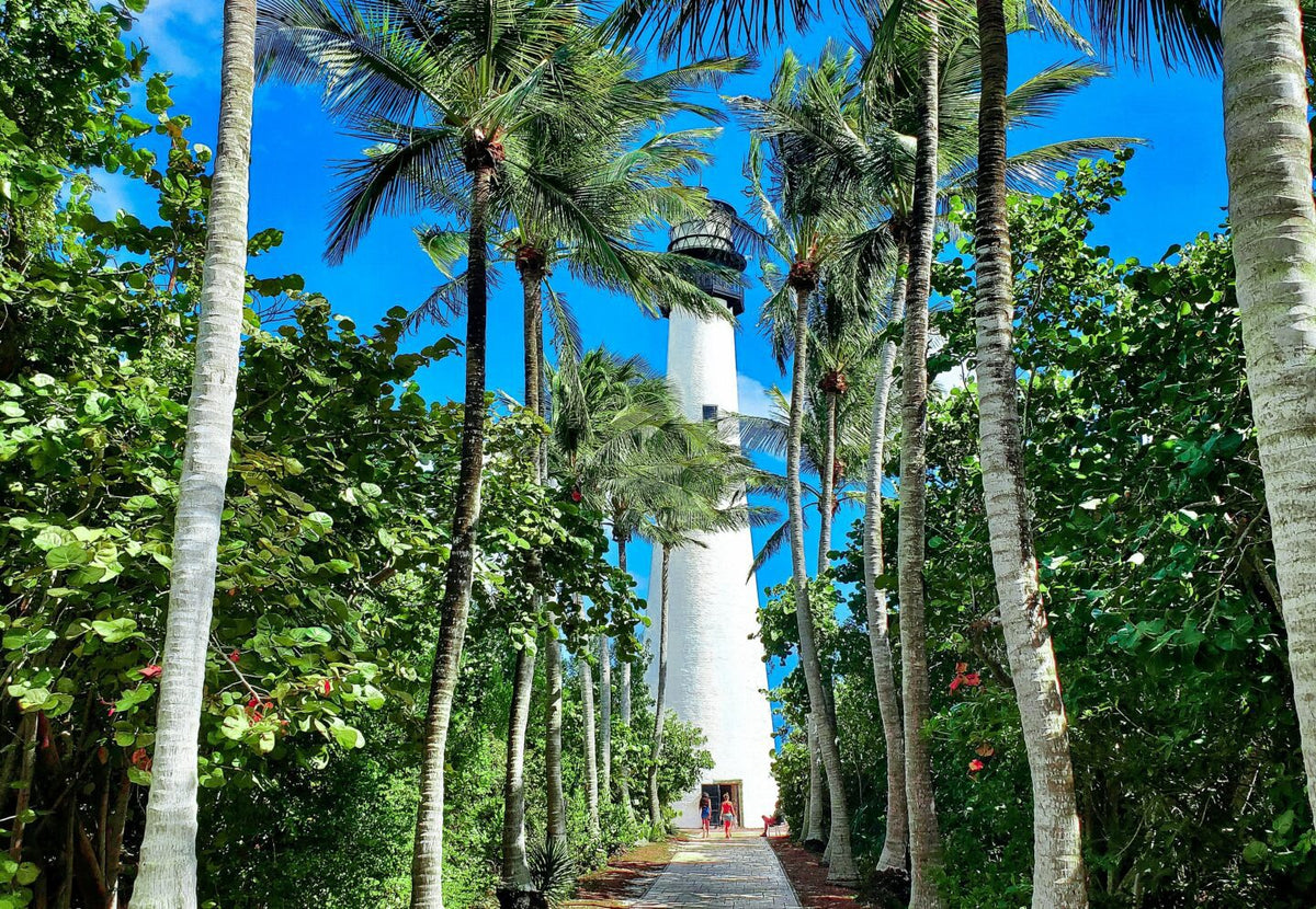 A lighthouse peeking through palm trees.