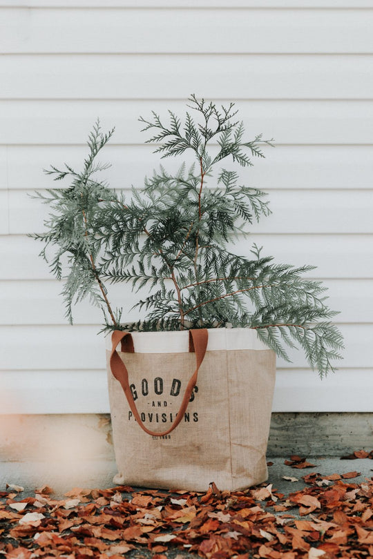Canvas bag with plant inside in front of white siding.