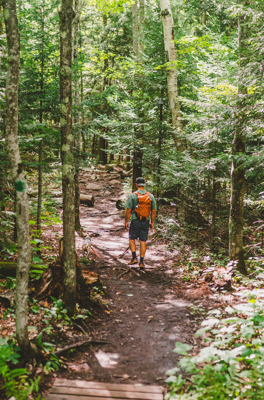 Hiker with orange backpack walking along a forest trail.