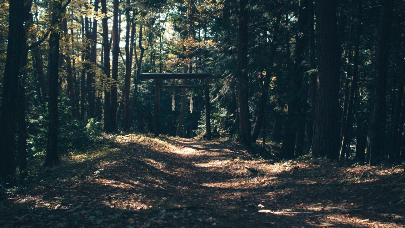 Outdoor Adventures & Scenic Roads