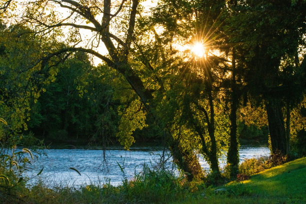 Sunset over a river with trees in the foreground