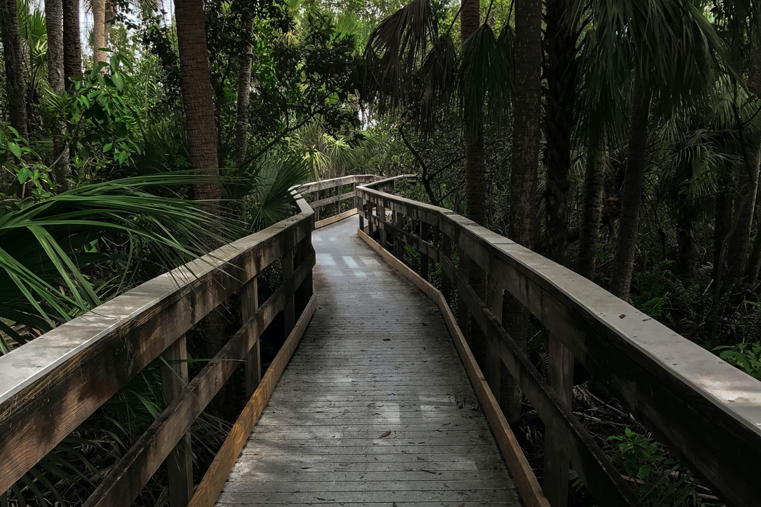 Boardwalks, Brews & Markets