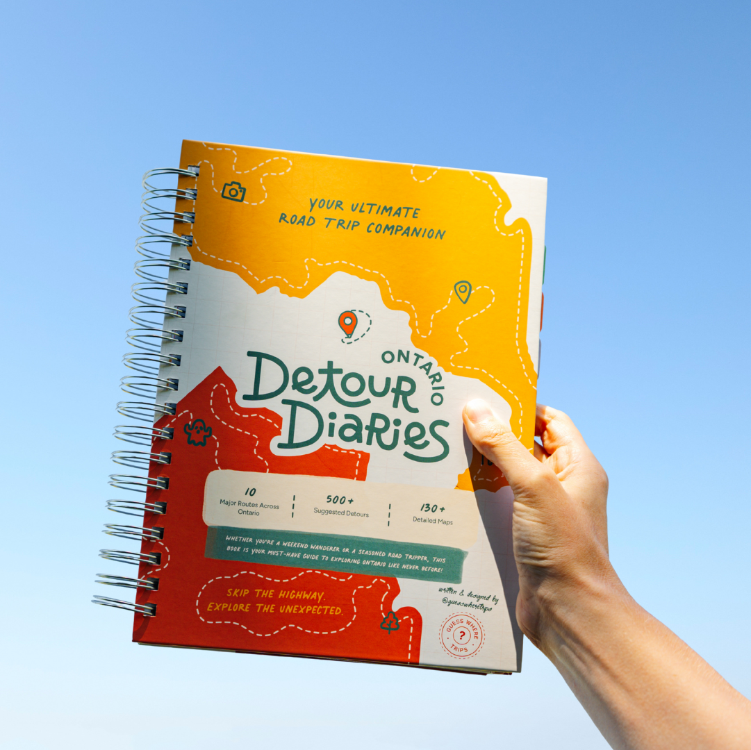 Detour Diaries Book being held against a blue sky backdrop