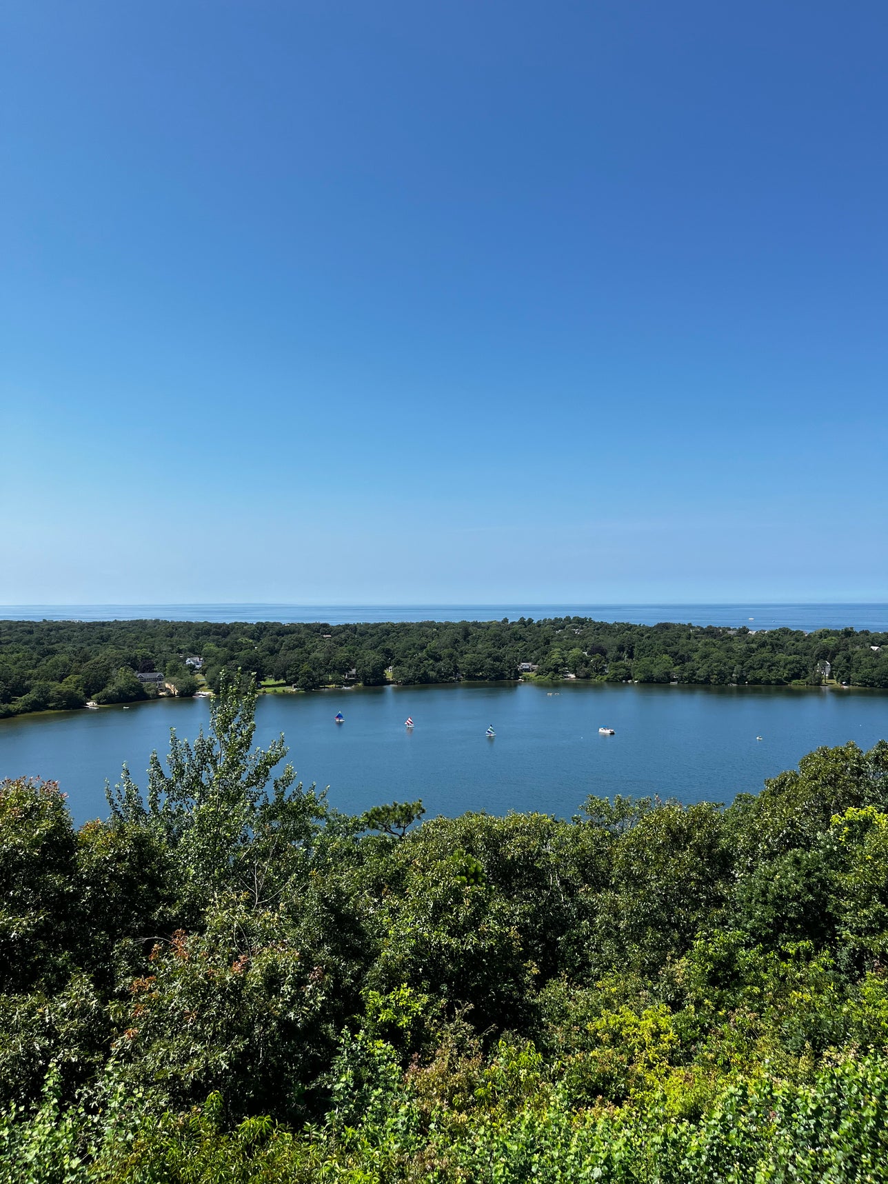 Escape to the Cape