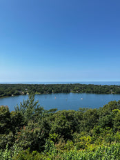 Escape to the Cape