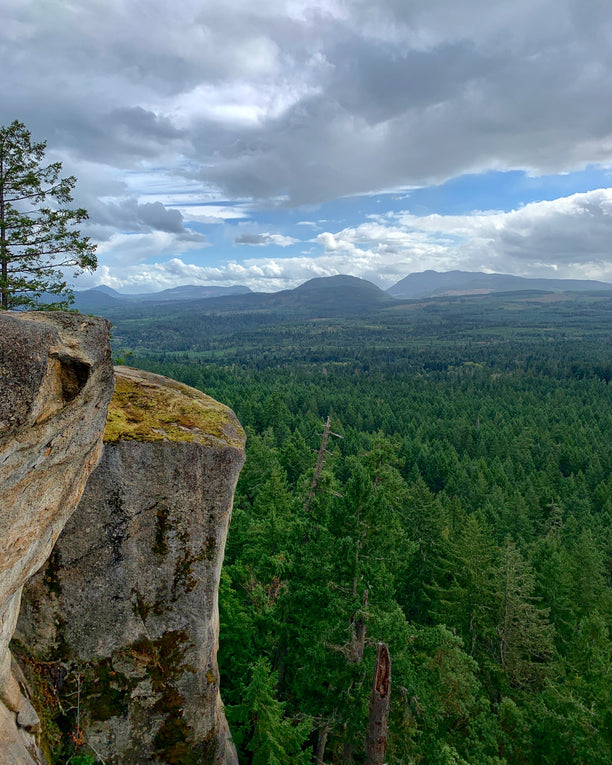 Mountain overlooking green forest.