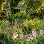 Wonder & Whimsy