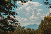 A scenic view of mountains and a clear sky with clouds, framed by trees in the foreground.