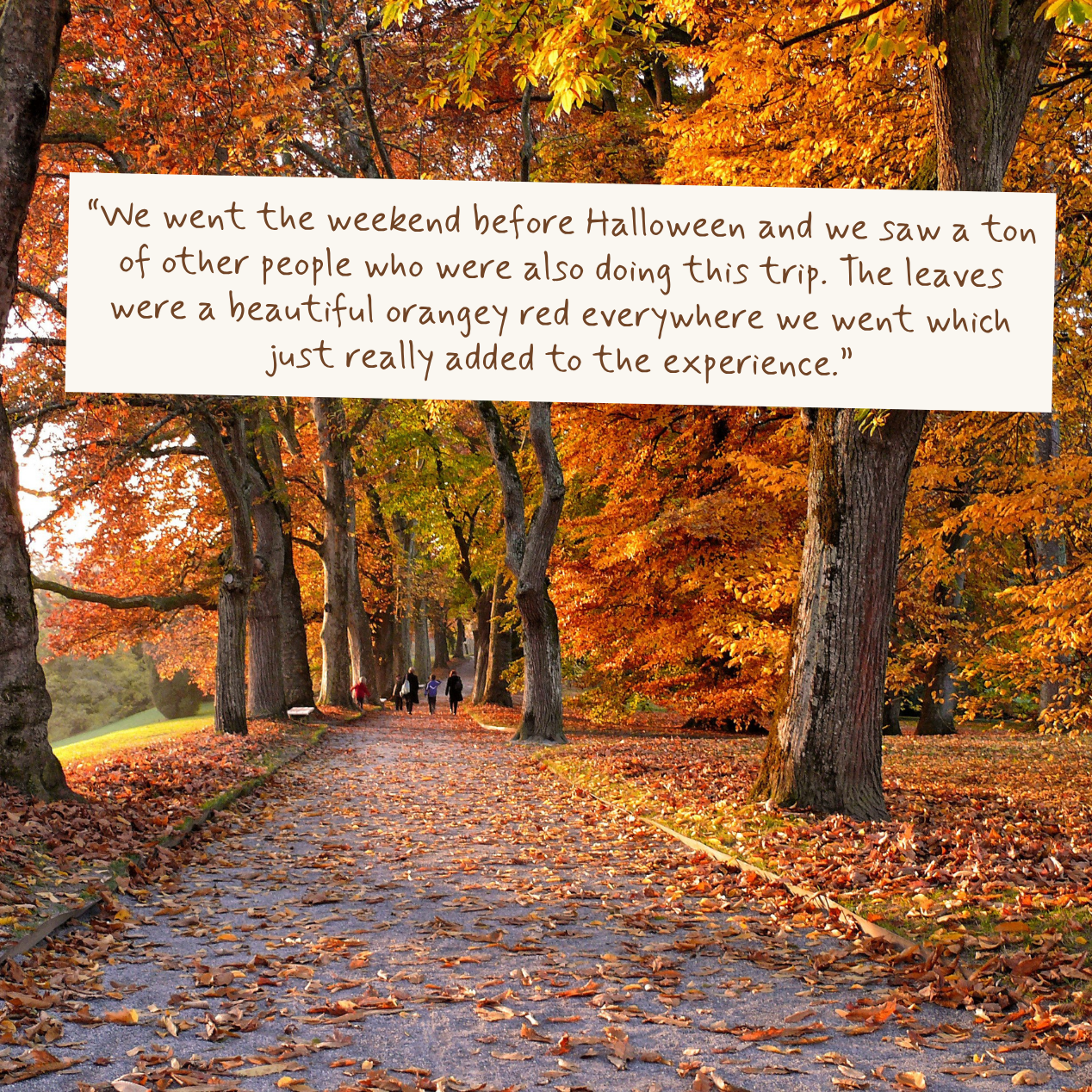 An autumn park path lined with orange and red trees, covered with fallen leaves, with a white text box overlaid containing a quote about a Halloween trip.