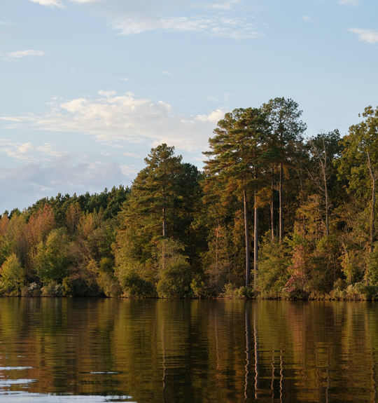 Tree-lined lake.
