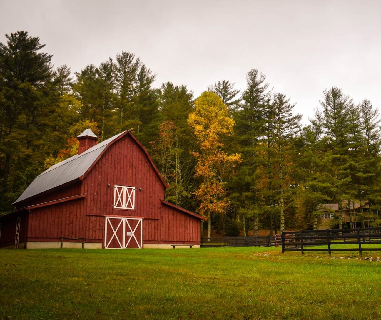 Funky Farms & Storybook Tales