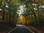 A winding road surrounded by trees with autumn leaves