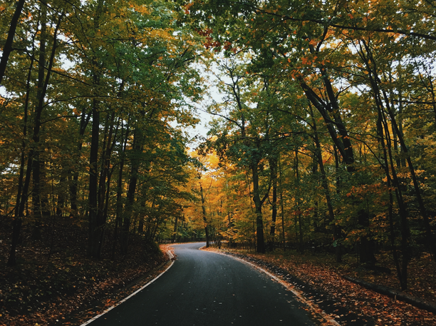 A winding road surrounded by trees with autumn leaves