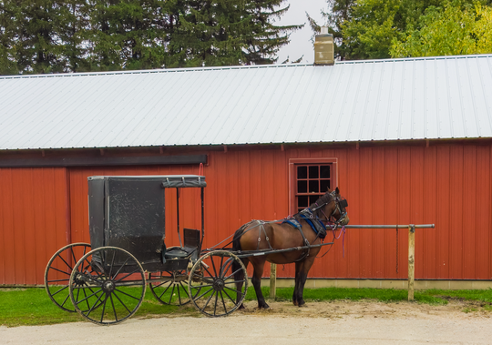 Horse drawn buggy by a red barn.