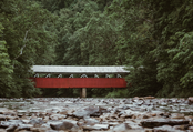 Along the River