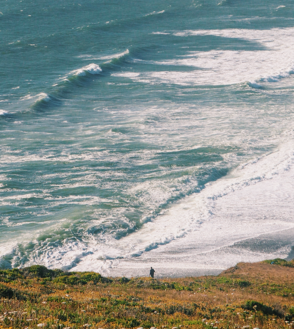 Ocean photographed from atop a hill.