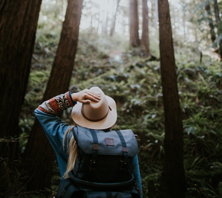 Woman holding hat while looking up at Redwoods.
