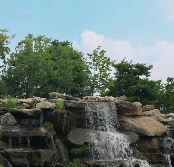 Scenic waterfall underneath trees and blue skies.