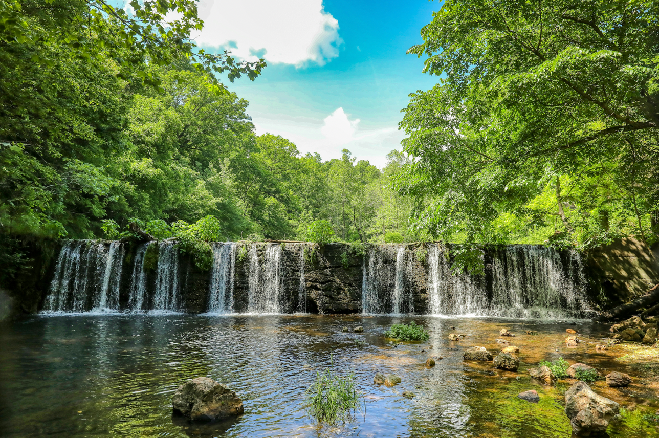 small waterfall in lush green forest