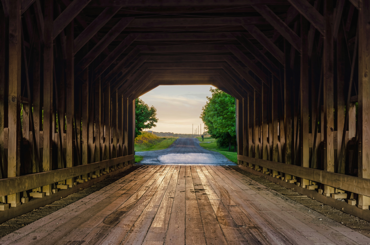 Bridges & Beauty