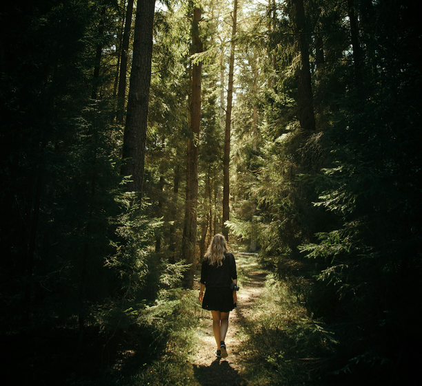 Woman walking on a forest trail surrounded by tall trees