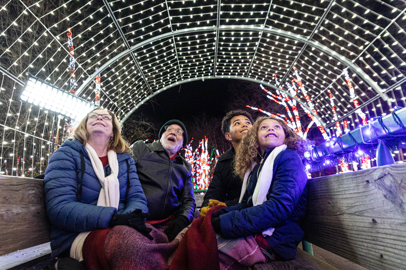 Festive Farms & Holiday Charm