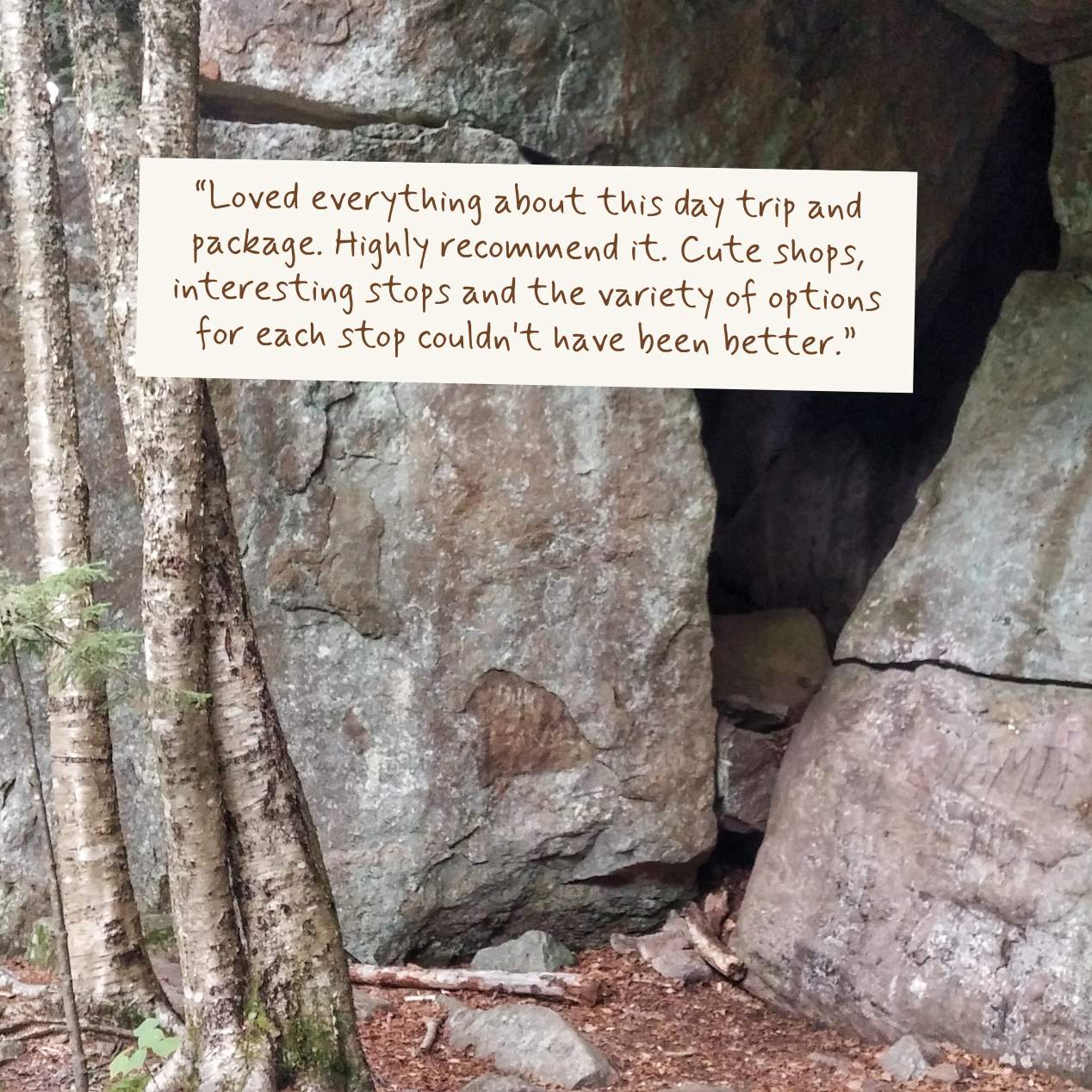A review with brown text on a cream background is superimposed over a natural outdoor scene showing large gray boulders and tree trunks in a forest.