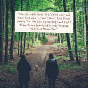A scenic forest path with two people walking away from the camera and a small dog in the distance, overlaid with a white text box containing a quote about 'Where Trip'.
