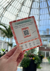 Toronto Play Day Passport