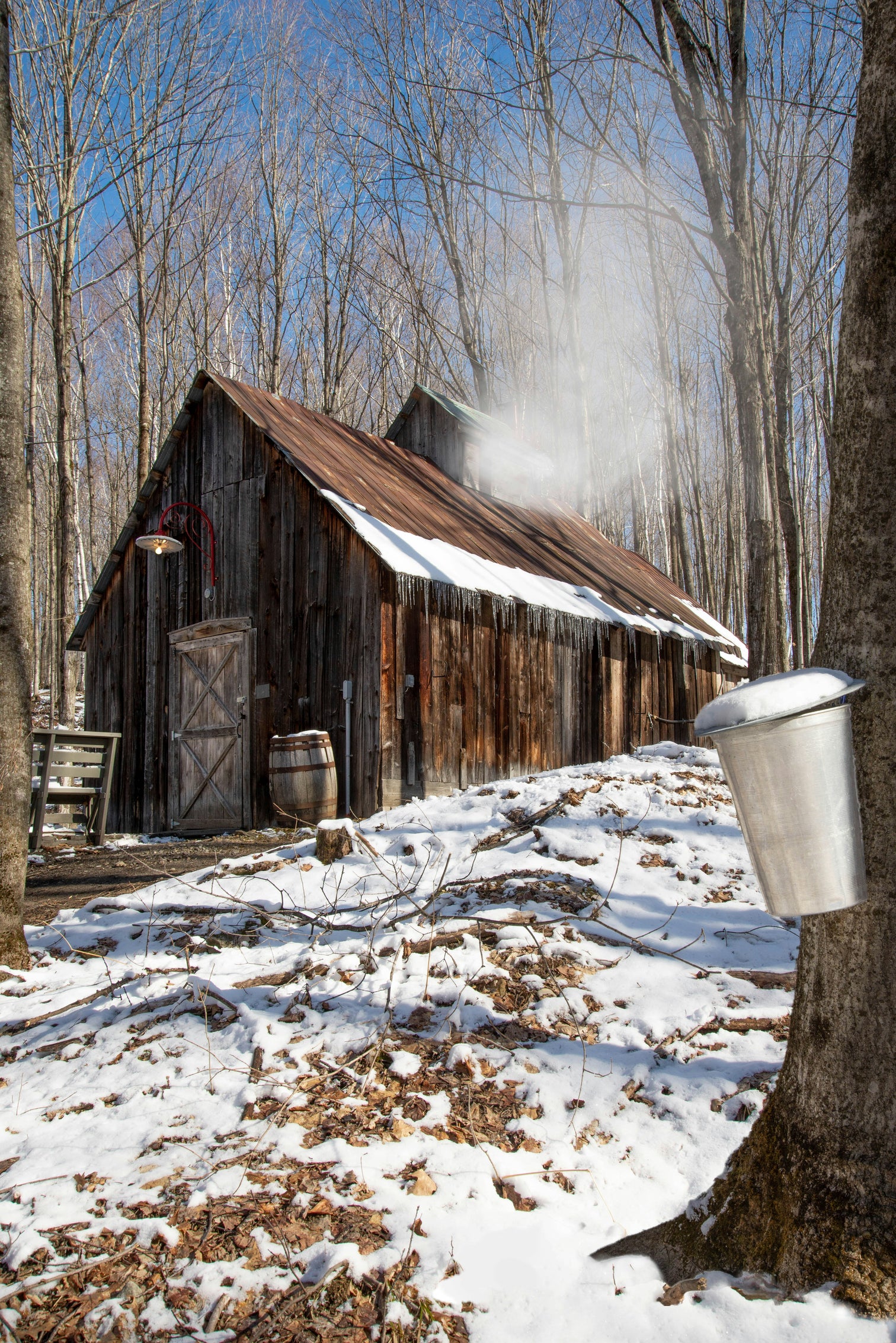 Maple Syrup Farm in Winter