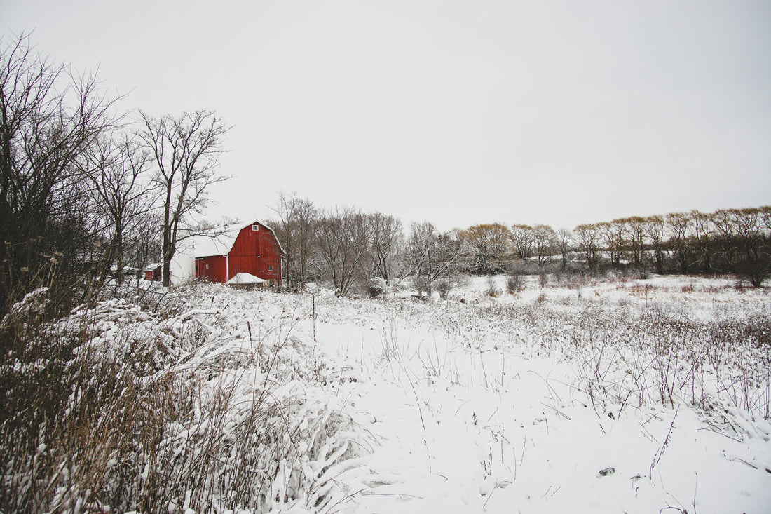 A Taste of Amish Country