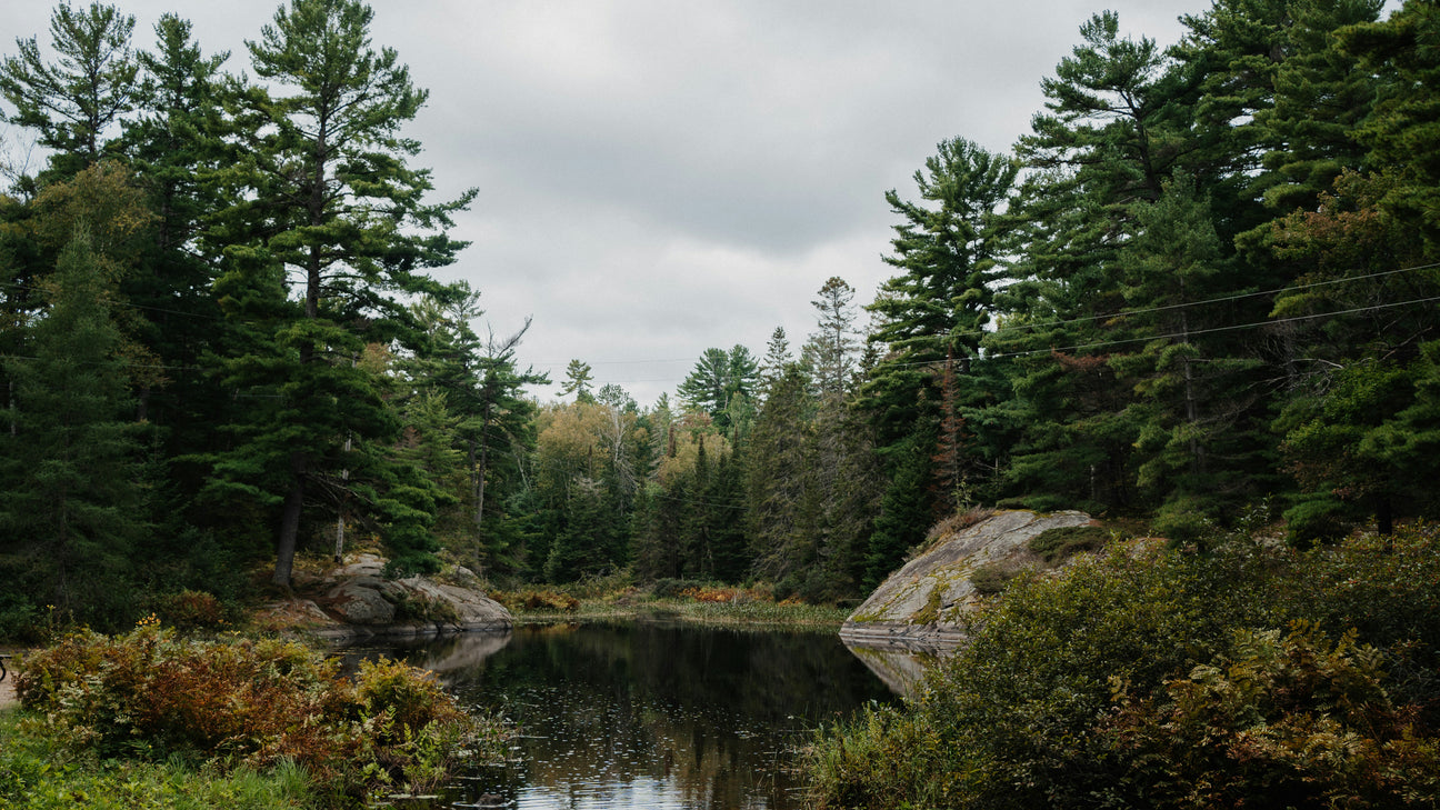 A body of water surrounded by trees on a cloudy day in Ontario