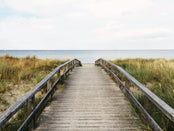 The Shore Explorer