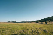 Grassy landscape with hills.