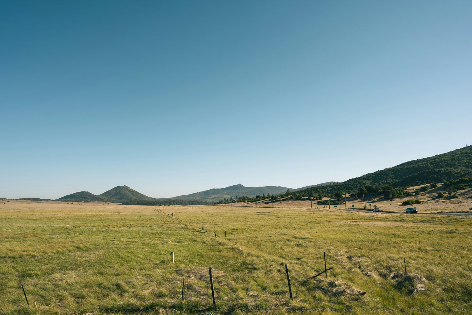 Grassy landscape with hills.