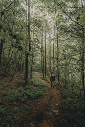 Man walking through a forest on a dirt path