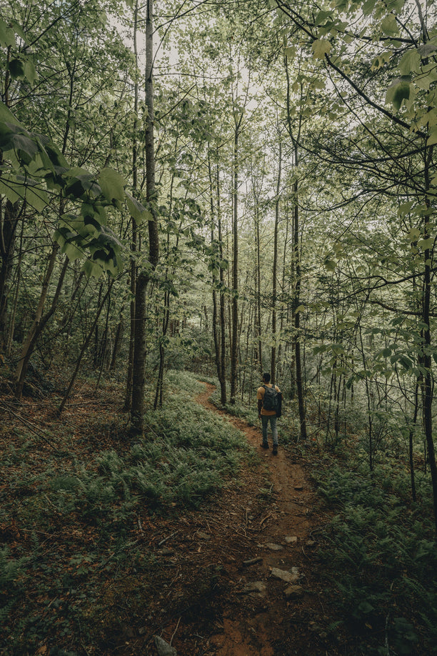 Man walking through a forest on a dirt path