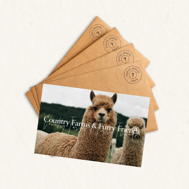 Country Farms & Furry Friends
