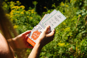 Which Way? A Surprise Road Trip Card Game