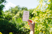 Which Way? A Surprise Road Trip Card Game