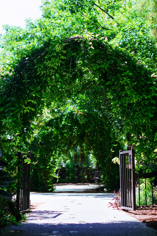 A Riverside Ramble