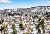 Tiny Town Tour