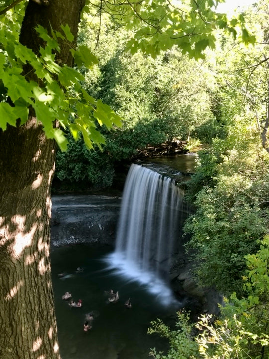 Waterfall in forest