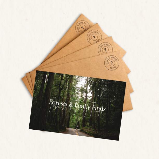 Forests & Funky Finds