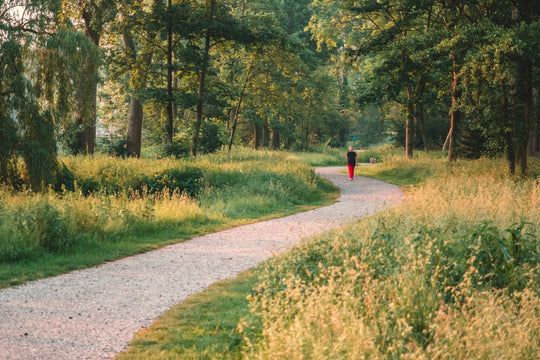 Woman walking along path in a woodsy park.