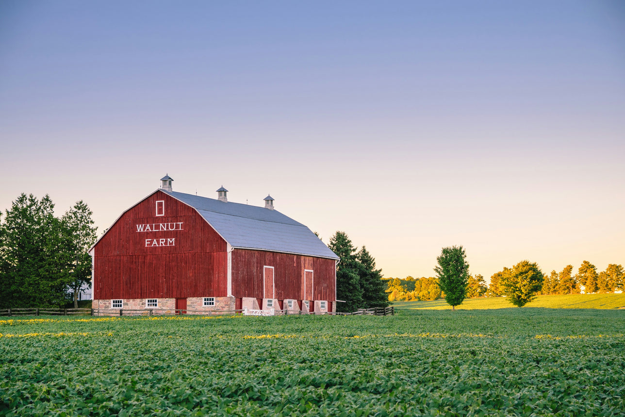 Red barn labeled 'Walnut Farm' in a field with trees and clear sky